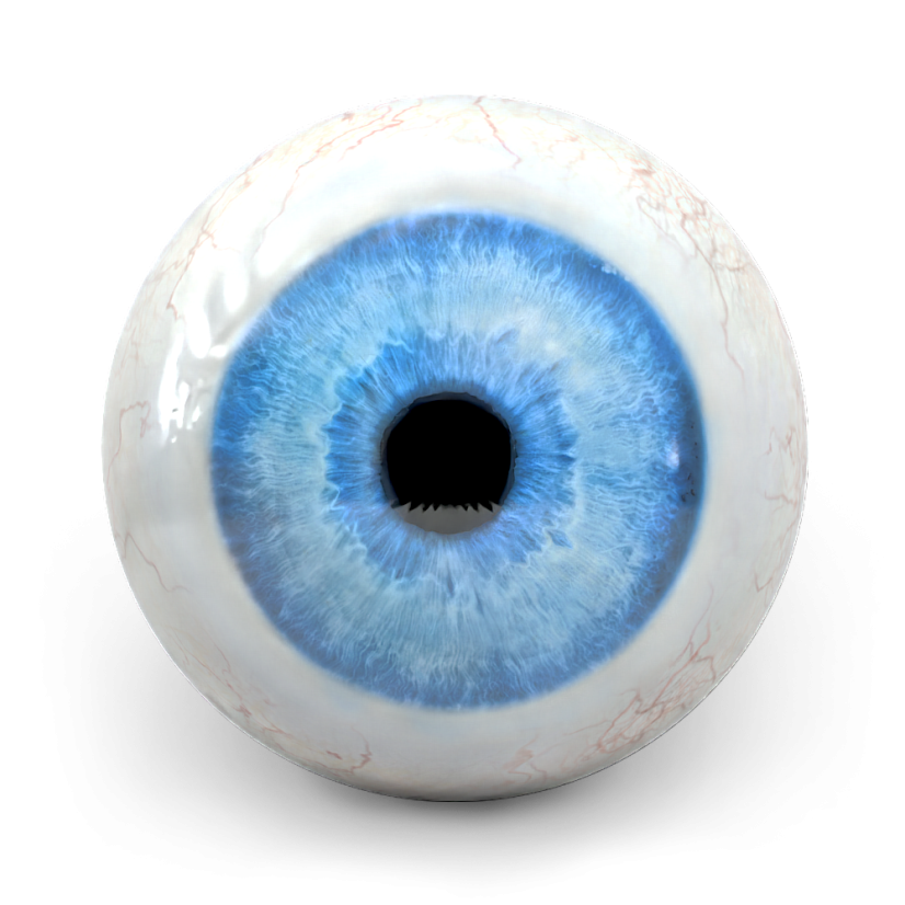 Eyeball - Váha: 13lbs