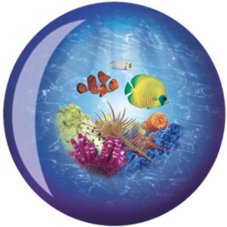 Brunswick Viz-A-Ball Ocean Life