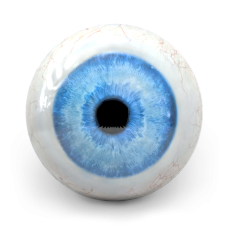 Eyeball